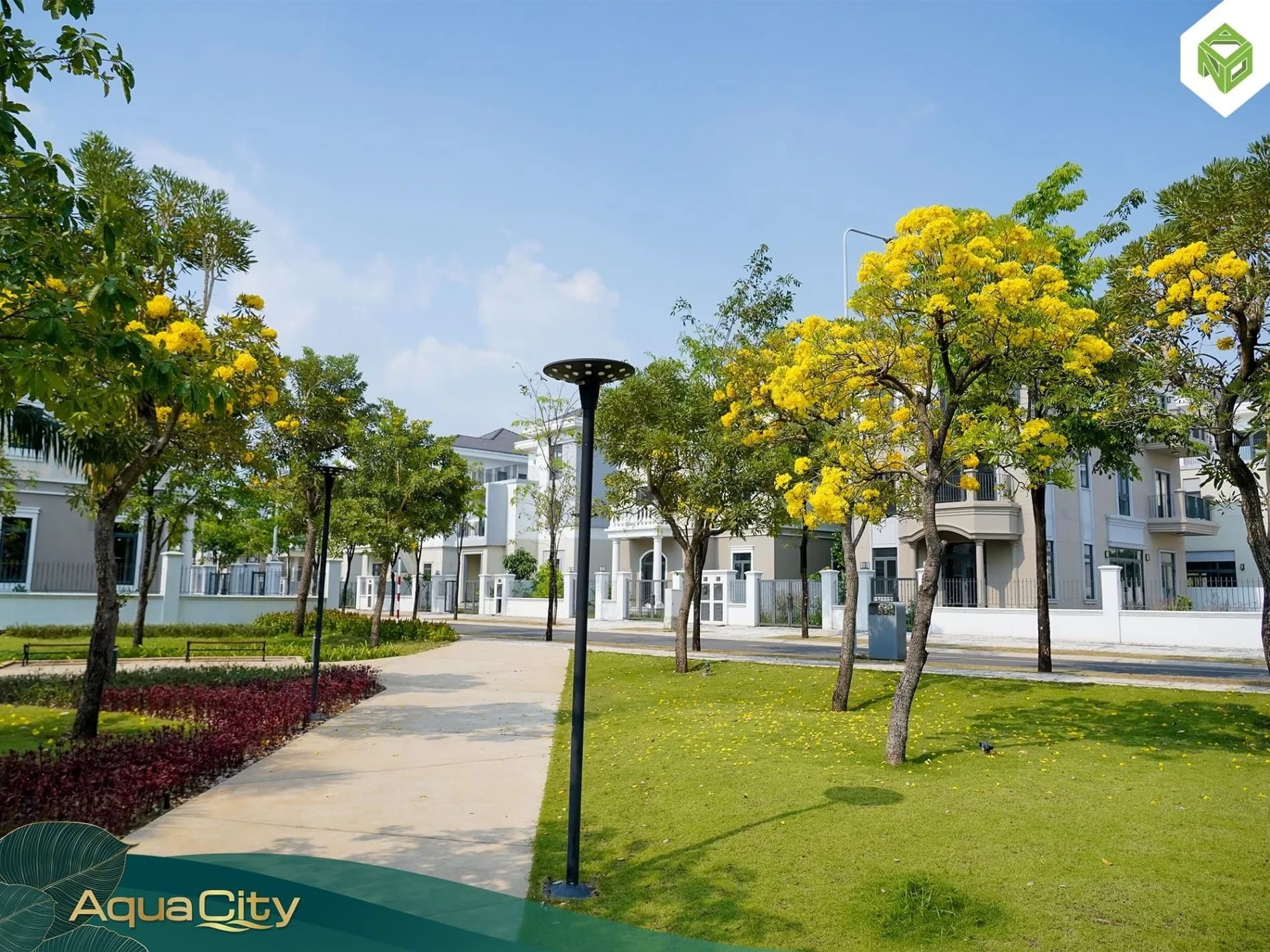 Cơ hội vàng sở hữu Biệt thự SV3-14 – Diện tích khủng chỉ 10,4 tỷ
